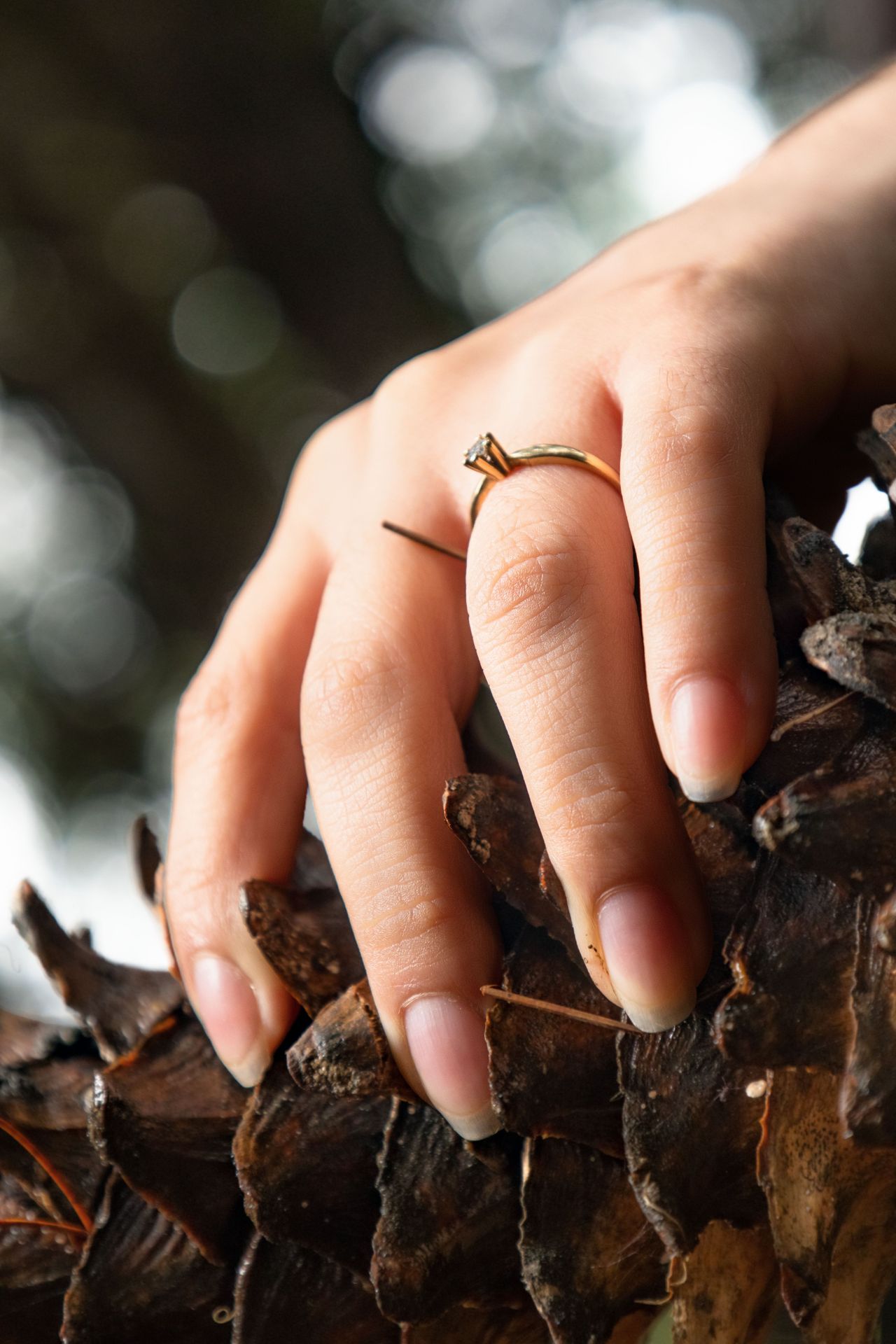 Anillo solitario de oro — JOYAS ORLEZA